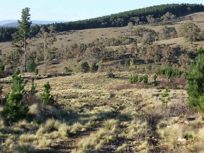 Main view of Homely rural property listing, 1327 Swallows Nest Road, Oberon NSW 2787