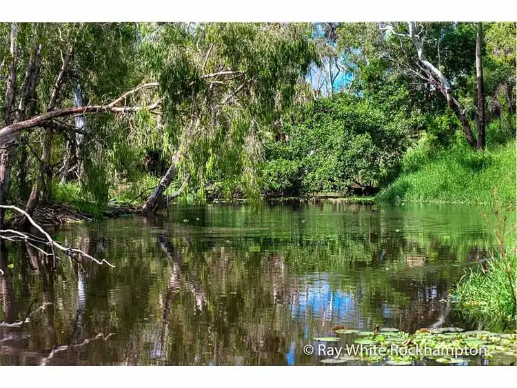 Sixth view of Homely house listing, 52 Hamilton Avenue, Wandal QLD 4700