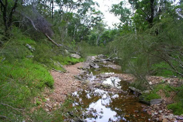 Fifth view of Homely rural property listing, 19 Tomboye Road, Braidwood NSW 2622