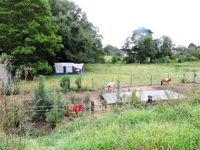 Second view of Homely rural property listing, 21-27 Hanlan Street South, Narara NSW 2250
