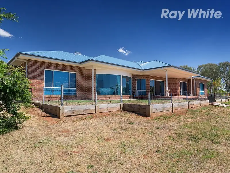 Main view of Homely house listing, 100 Sarah Street, Gerogery NSW 2642