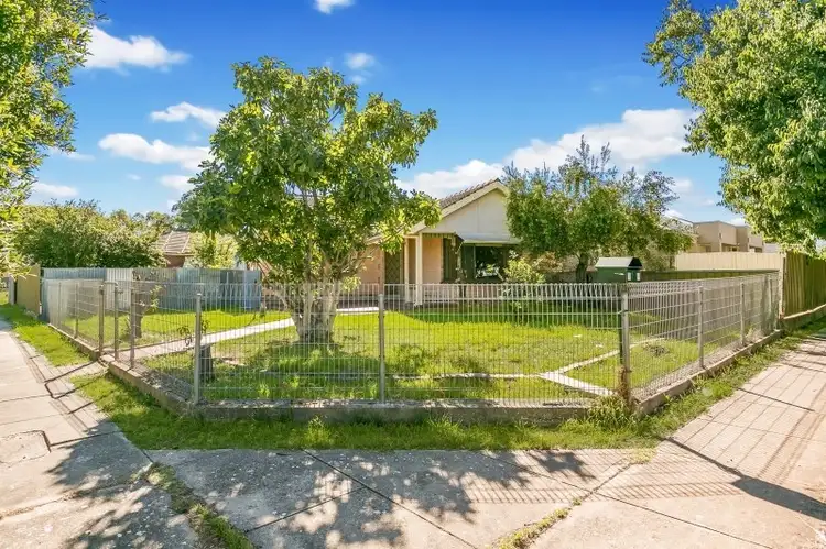 Main view of Homely house listing, 38 Wicks Avenue, Campbelltown SA 5074