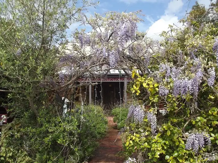 Second view of Homely house listing, 32 Brown Street, Semaphore SA 5019