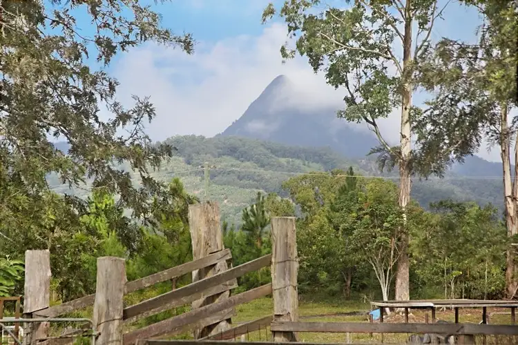 Second view of Homely rural property listing, 491 Nobbys Creek Road, Nobbys Creek NSW 2484