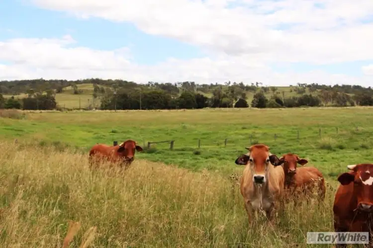 Main view of Homely rural property listing, 604 Running Creek Road, Running Creek QLD 4287