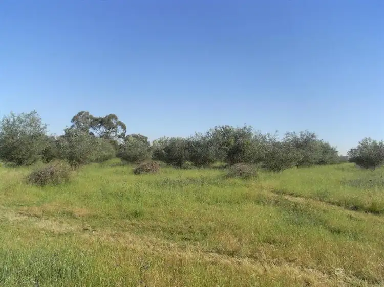 Main view of Homely land listing, Lot 3 Belmore Street, Howlong NSW 2643