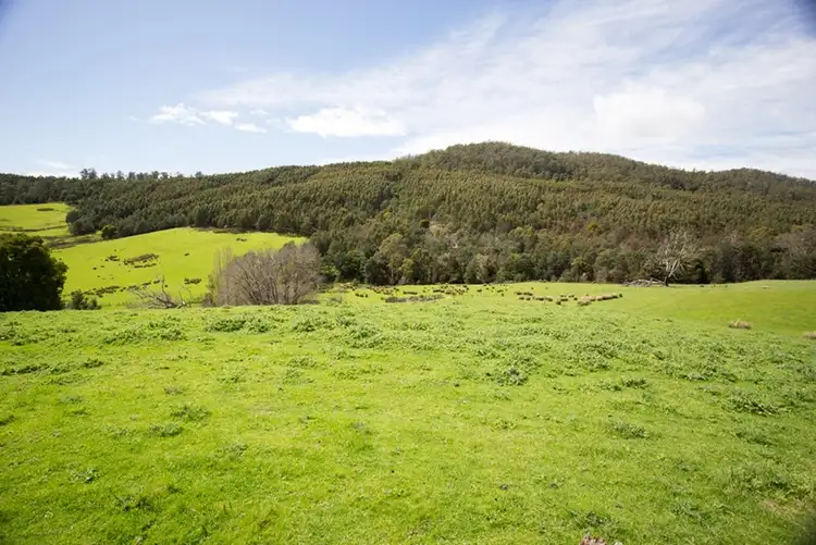 Third view of Homely rural property listing, 163 Turkey Farm Road, Glengarry TAS 7275