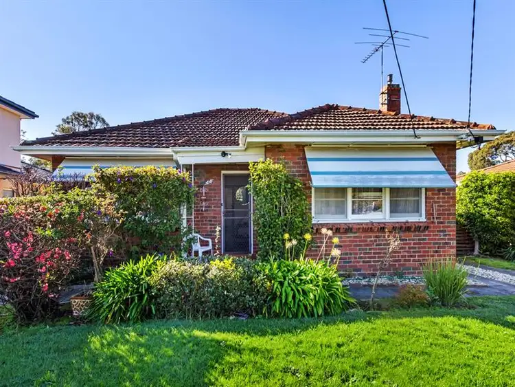 44 Barcelona Street, Box Hill VIC 3128