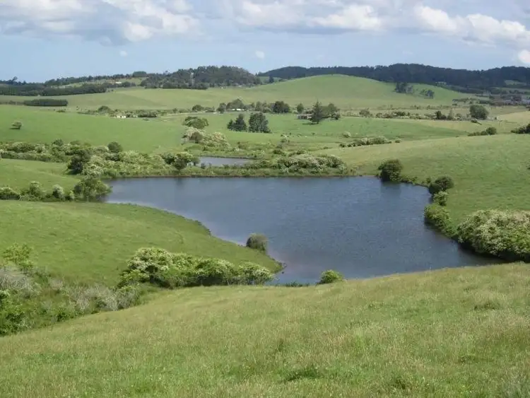 Fourth view of Homely rural property listing, 10 Rocky Creek Road, Dorrigo NSW 2453