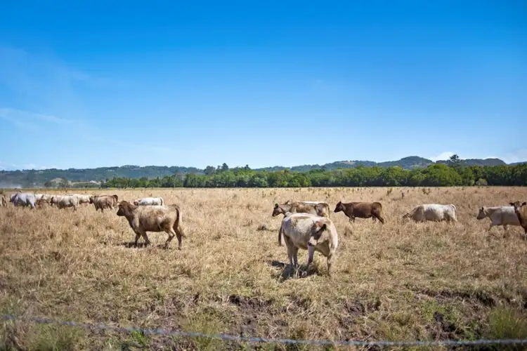 Sixth view of Homely rural property listing, PT 16 Dingo Lane, Myocum NSW 2481