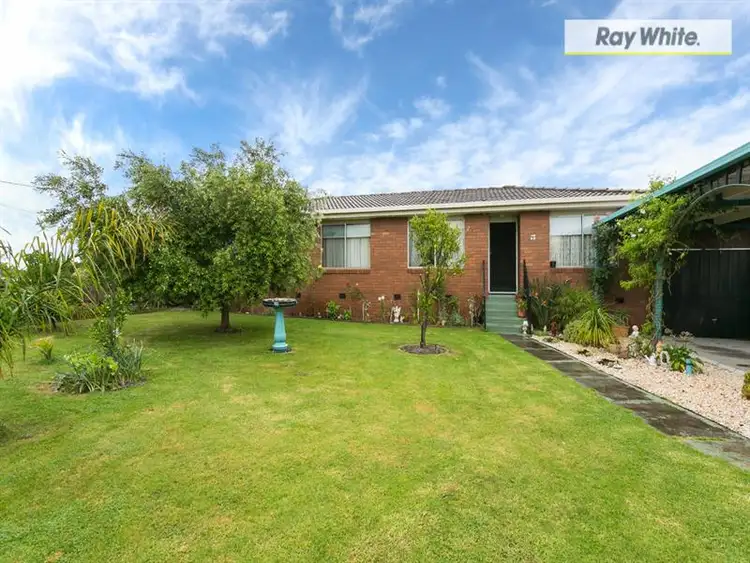 8 Higgins Street, Safety Beach VIC 3936