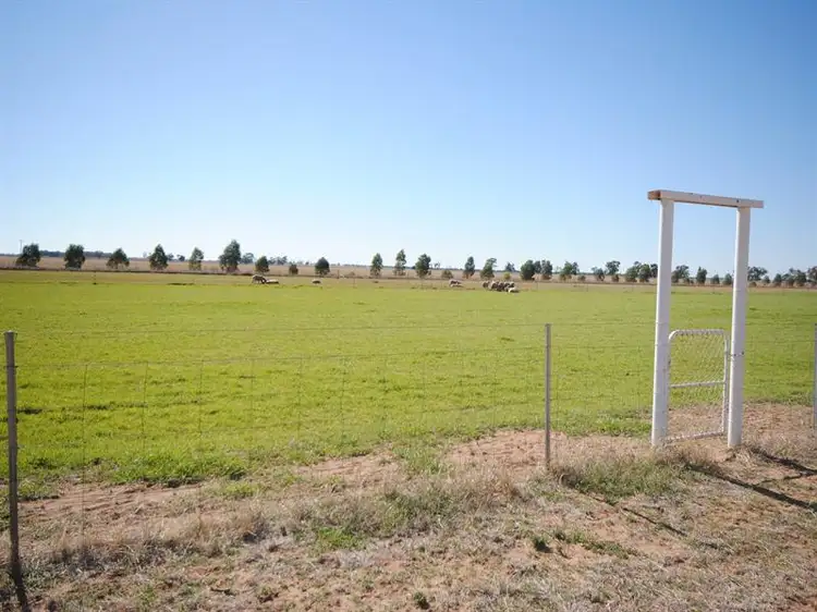 Main view of Homely rural property listing, Part 'Koonwarra', Sturt Highway, Darlington Point NSW 2706