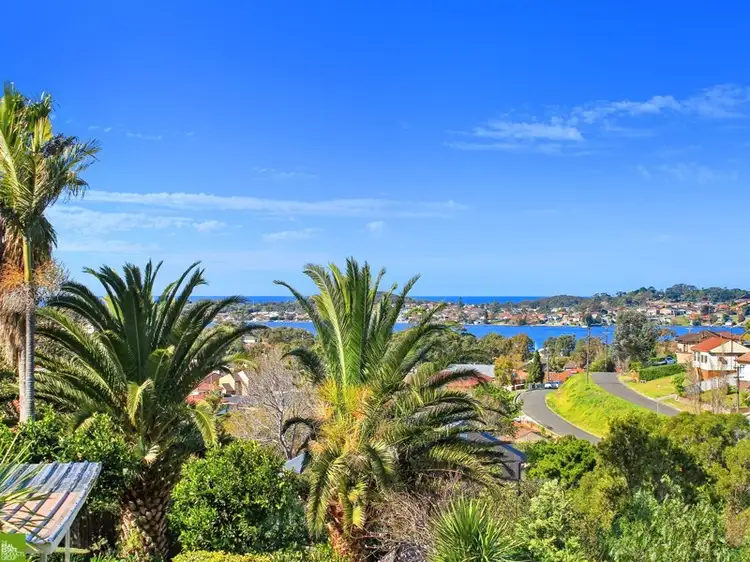 Main view of Homely house listing, 81 Weringa Avenue, Lake Heights NSW 2502