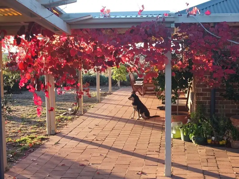 Main view of Homely rural property listing, Address available on request