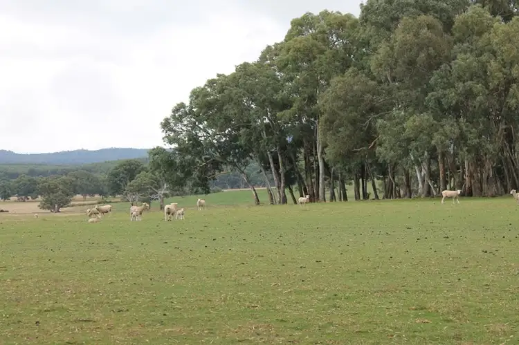 29 Walsh's Road, Cavendish VIC 3314
