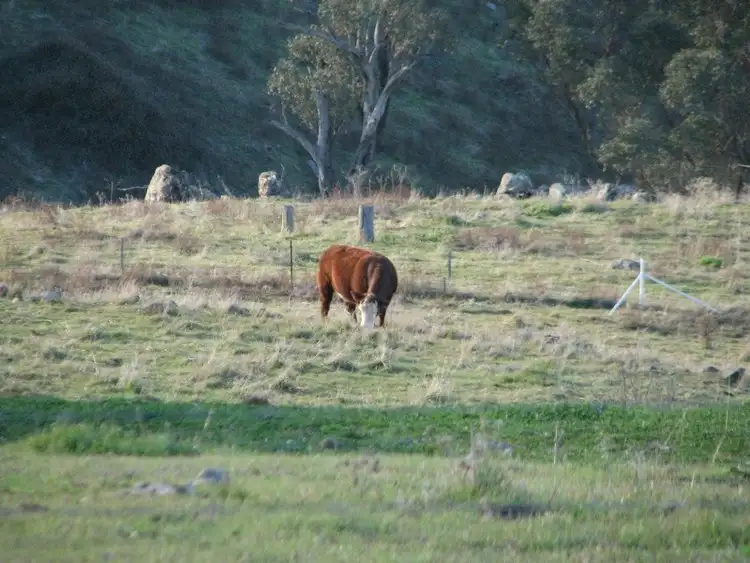 Fourth view of Homely rural property listing, Lot 47 Yarrawarrah Road, Canowindra NSW 2804