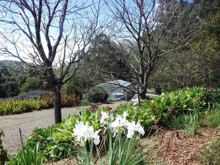 Third view of Homely rural property listing, 112 McIndoes Road, Dorrigo NSW 2453