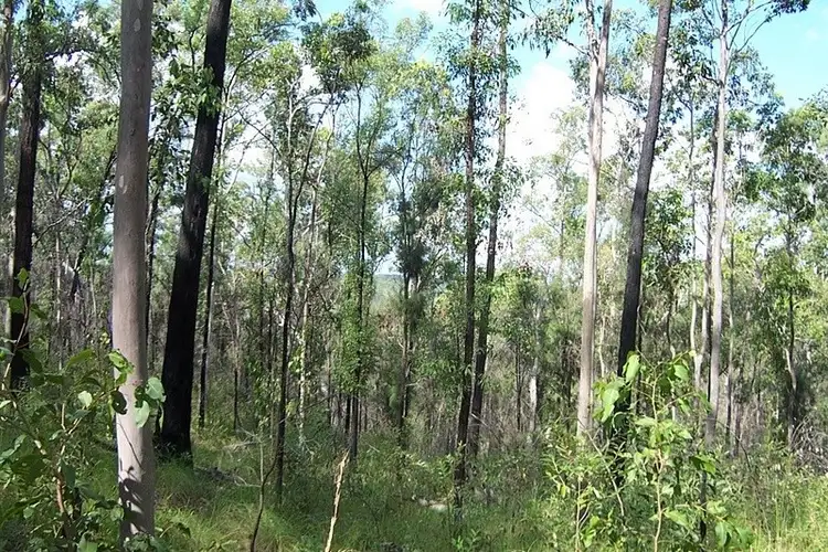 Sixth view of Homely land listing, L2-369 Fortis Creek Road, Fortis Creek NSW 2460
