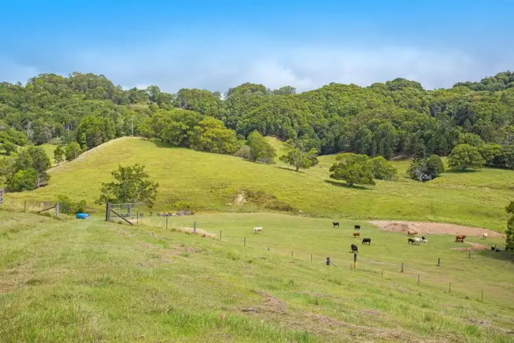 Sixth view of Homely rural property listing, 571 Clothiers Creek Road, Clothiers Creek NSW 2484