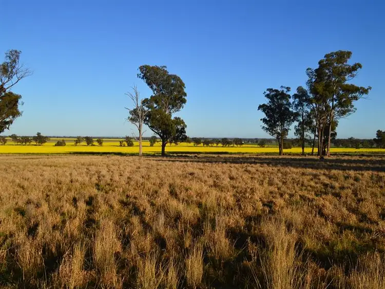 Lot 153 Wattle Lane, Forbes NSW 2871