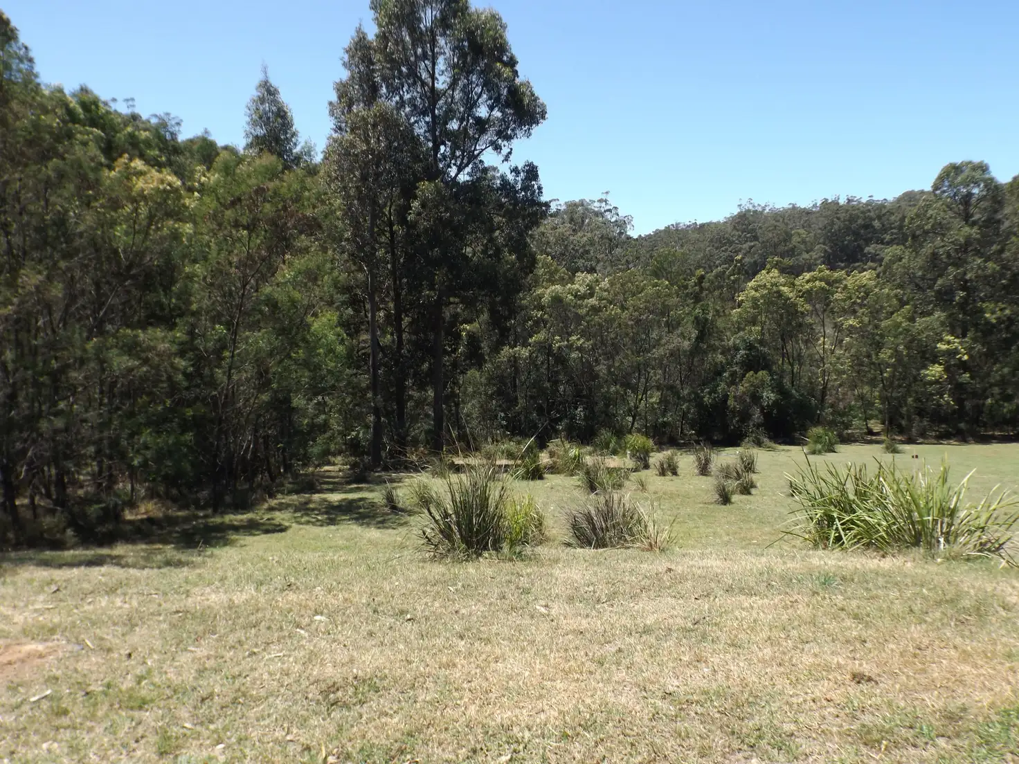 Main view of Homely land listing, 20 Clarence Street, Long Beach NSW 2536