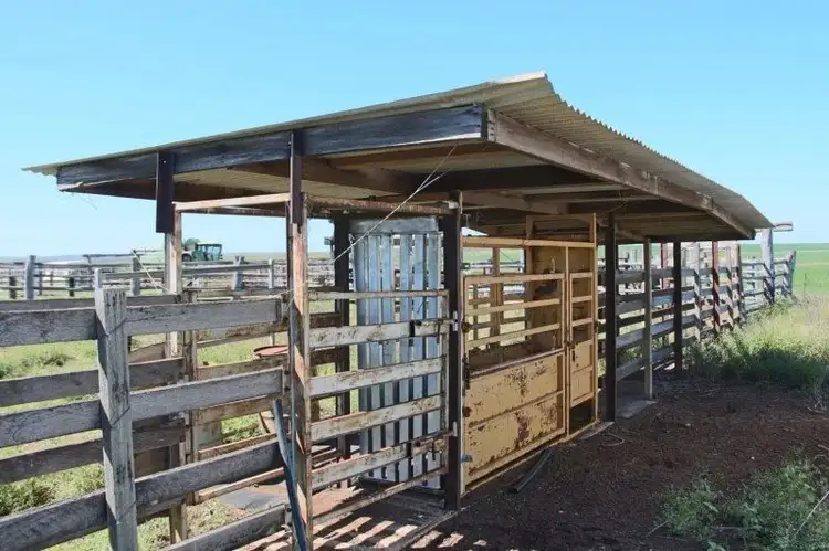 Seventh view of Homely rural property listing, Diamond Downs Kilcummin Road, Clermont QLD 4721