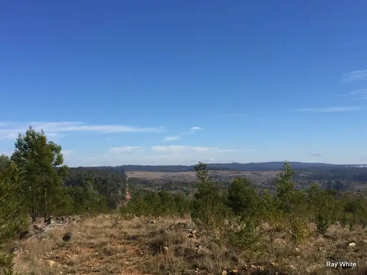 Third view of Homely rural property listing, 779 Back Creek, Braidwood NSW 2622
