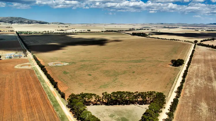Fifth view of Homely rural property listing, "Donara" Donara Road, Mount Bryan SA 5418