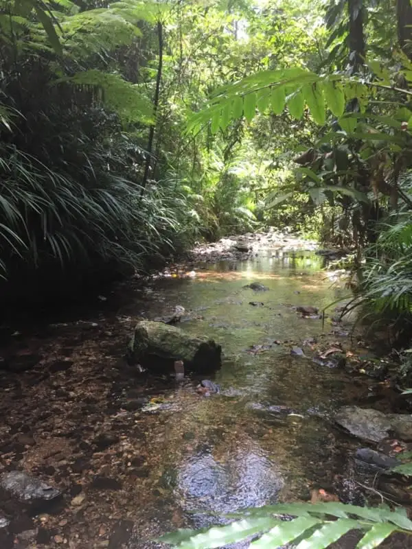 Main view of Homely land listing, 7 Fig Tree Road, Cow Bay QLD 4873