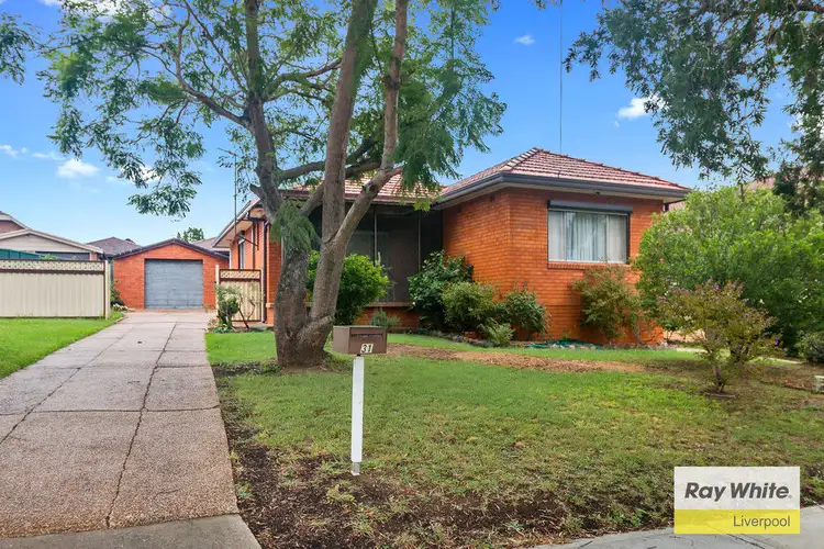 Main view of Homely house listing, 31 Darling Avenue, Lurnea NSW 2170