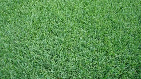 Main view of Homely land listing, 3 Gunn Road, Benalla VIC 3672