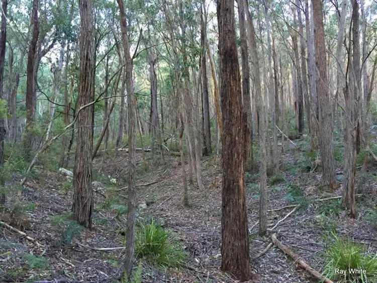 Sixth view of Homely rural property listing, 203 Tudor Valley, Braidwood NSW 2622
