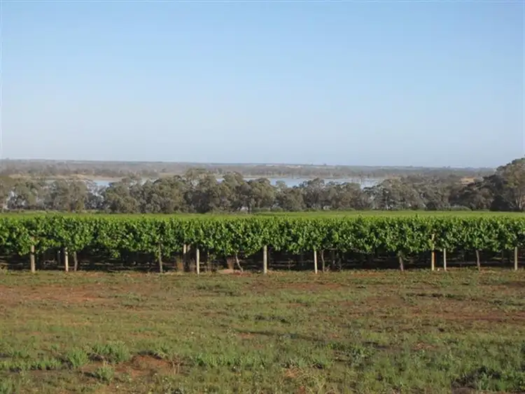 Sixth view of Homely rural property listing, Sec 383 Thiele Road, Loveday SA 5345