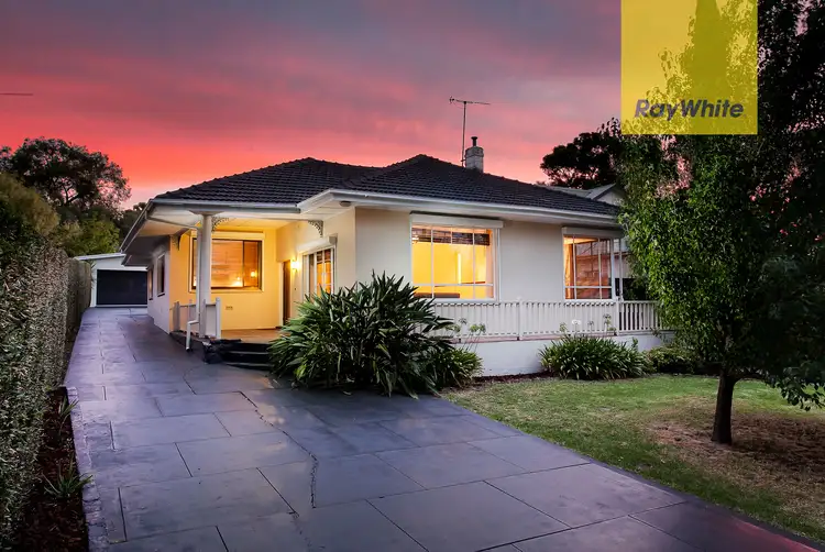 16 Norwich Avenue, Burnside SA 5066