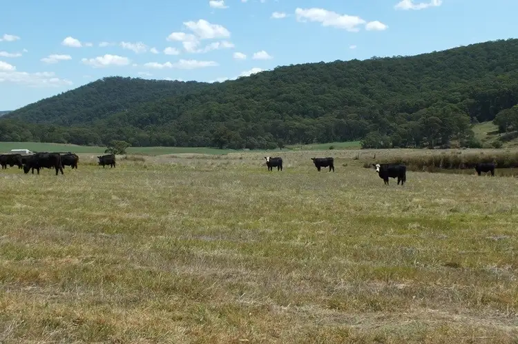 Sixth view of Homely rural property listing, Lot 1 189 Norman Lea Road, Hampton NSW 2790