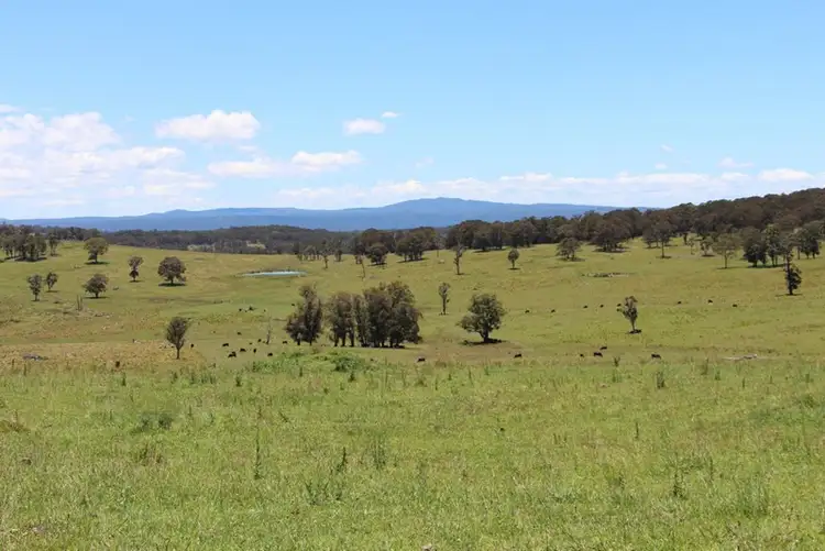 161 "Forest Lodge", Hickey's Road, Wongwibinda NSW 2350