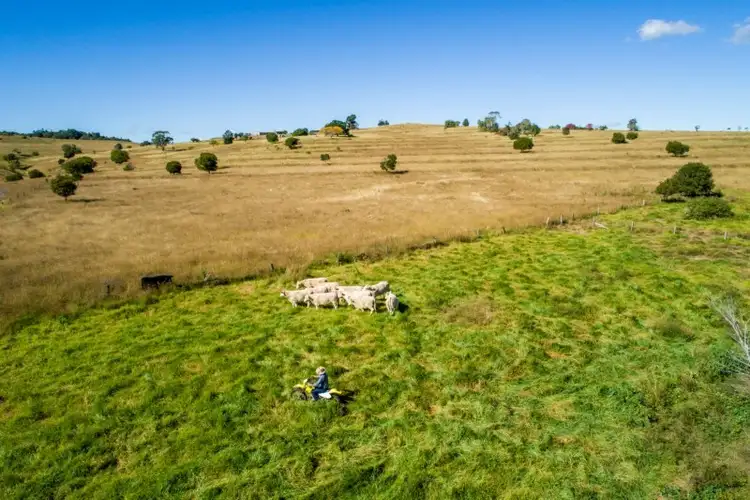 Seventh view of Homely rural property listing, "Spring Creek" 281 Boat Mountain Road, Murgon QLD 4605