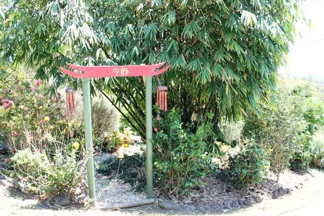 Seventh view of Homely house listing, 6 Elbert Court, Tamborine Mountain QLD 4272