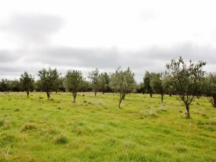 Seventh view of Homely rural property listing, 1010 Dinga Dingi Road, Stockinbingal NSW 2725