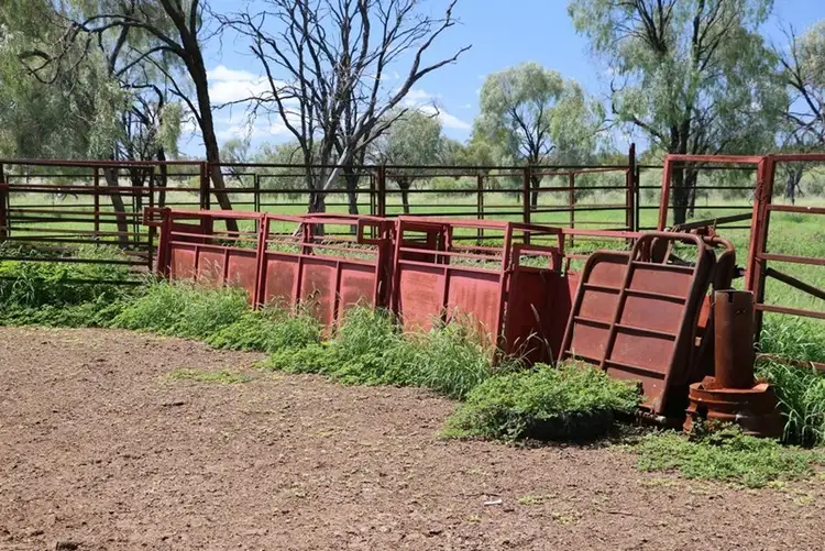 Seventh view of Homely rural property listing, 0 KINTILLOCH, Roma QLD 4455