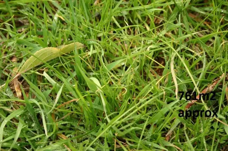 27 Thornhill Street, Melton West VIC 3337