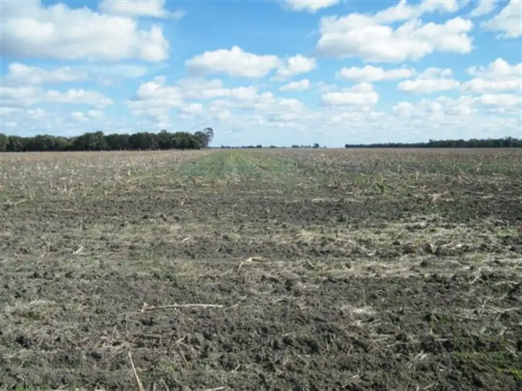 Second view of Homely rural property listing, BLACKDOWN ROMA-CONDAMINE Road, Condamine QLD 4416