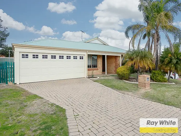 Main view of Homely house listing, 16 Petre Grove, Clarkson WA 6030