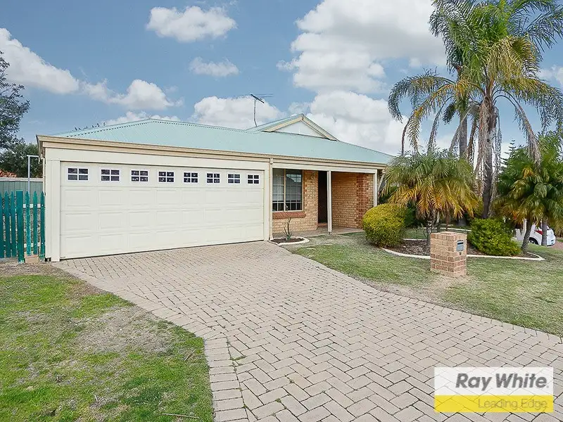 Main view of Homely house listing, 16 Petre Grove, Clarkson WA 6030