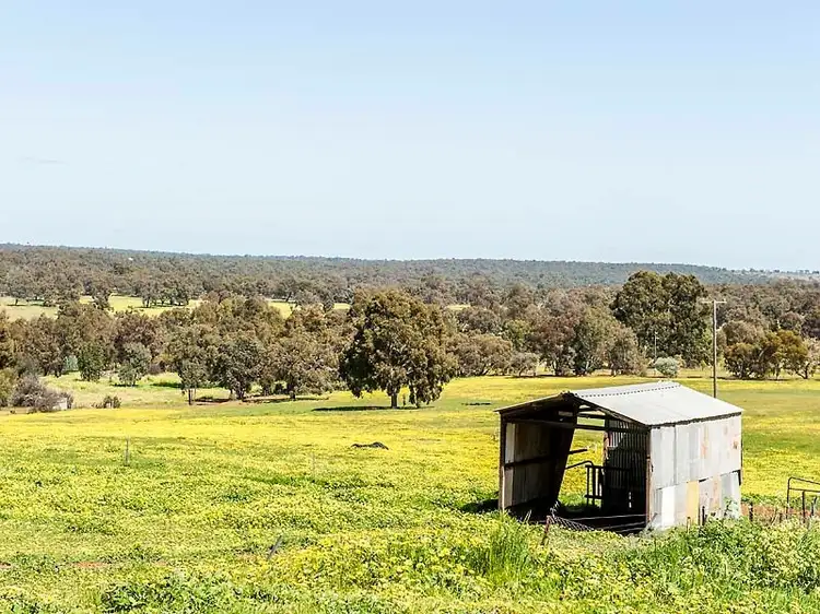 Fourth view of Homely house listing, 80 Teatree Road, Bindoon WA 6502