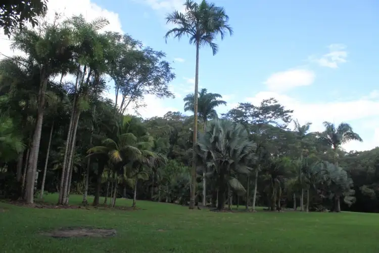 Fourth view of Homely land listing, 1 Richards Road, Julatten QLD 4871