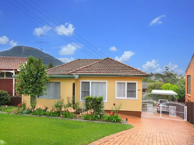 45 Walang Avenue, Figtree NSW 2525