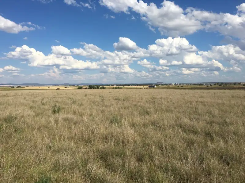 Main view of Homely rural property listing, 250 Clifton-Leyburn Road, Kings Creek QLD 4361