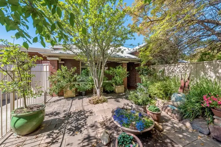 3 Edward Street, Daw Park SA 5041
