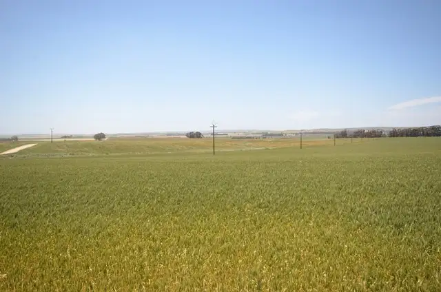 Second view of Homely rural property listing, "Toringa" Toringa Road, Farrell Flat SA 5416